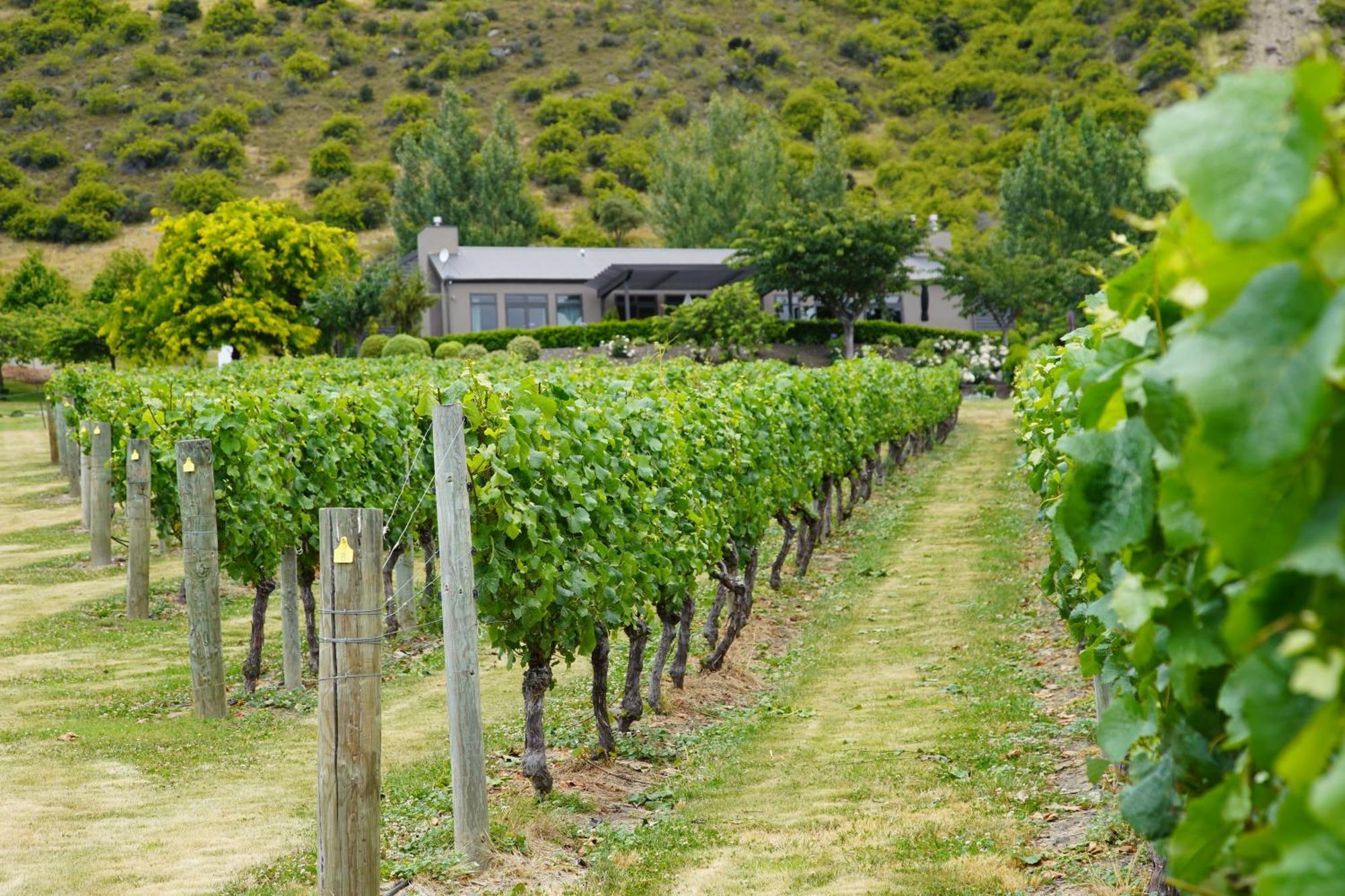 Mt Rosa Lodge Boutique Vineyard Accommodation Wanaka Exterior photo